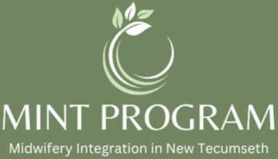 The MINT Program Logo